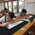 SAM_6979