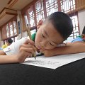 SAM_6988