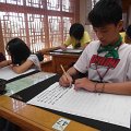 SAM_6992