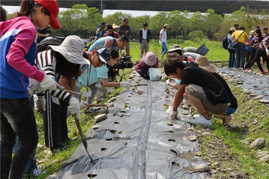「伊啦伊啦呼！快樂的一日農夫！」三十多位來至台灣各地的民眾與國內外佛光人共同參與一日農夫體驗。圖中大夥正在體驗栽種紅藜。